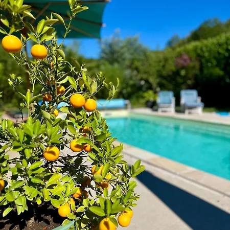 Avec Piscine A Jean Du Gard, Les Ecuries De La Magdelaine Feriehus *